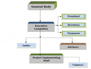 Organogram